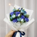 원칼라 이미지