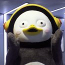 폼롤러필라테스 이미지