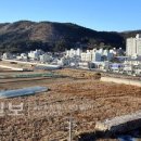 화장산(언양읍) Daum카페