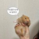 서귀포제이에스(JS) | 2024년에도 제주도를 패키지로 가는 가족이 있다? - 上