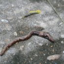 신정산 이미지