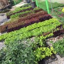 공항농장 이미지