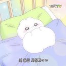 꽃지아라 이미지