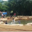 천황자동차야영장 더 한국타임즈