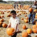 호박스포츠 이미지