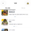 칸트의시간 이미지