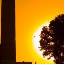 고향풍미 이미지