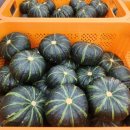 정솔농장 이미지