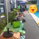 그늘막110 이미지