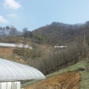 임실축협동물병원 이미지