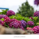 안성리-9 이미지