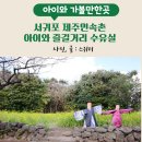 서귀포 제주민속촌 아이와 즐길거리 수유실 정보