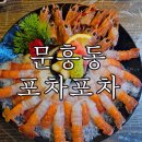 문흥동 술집 포차포차 제주도 딱새우회 후기