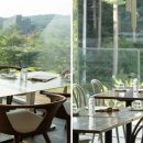 서울승마힐링캠프 이미지