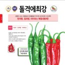 청양고추씨앗 나눔합니다 이미지