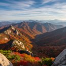 속리산 - 성남시 중원구 시민로117번길 2 | 속리산
