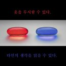 빨간약 vs 파란약 이미지