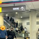 스시현 | 문정역초밥 가성비 좋은 스시현 솔직 후기｜스페셜정식 든든한 한끼