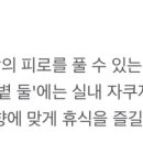 볕볕 둘 이미지