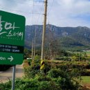 달마스테이 이미지