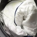 성미세탁 이미지