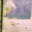초록물고기사진관 - 포항시 북구 탑산길 7 | 초록물고기사진관