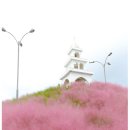 DSLR여행사진찍어주는 제주도미니버스 박현규가이드기사의 더특별한제주여행 이미지