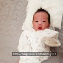 레이나산부인과의원 | [병원] 분당 설소대 수술 후기 (생후 25일) : 늘해랑 소아과