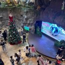 야놀자뽑기샵 | 주렁주렁 하남 실내동물원 주말 방문후기[할인,주차,데이트]