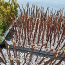 대랑목장 이미지