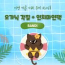 아기발 끝판왕 ! 오가닉각질 +인치마인팩 반디인하우스 부천중동점