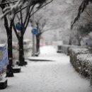모경 이미지