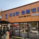 정성환동물병원 이미지