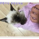 뽕구2