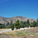 팜스프링 이미지