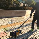 산본중앙동물병원 이미지