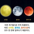 오늘밤에 이미지