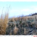 돌쇠농장 이미지