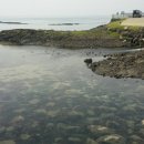 제주해녀횟집 이미지