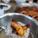 팔보 네이버블로그