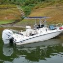 대물장어 이미지