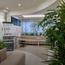 서울이랑드치과의원 이미지