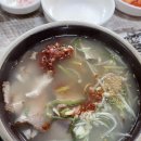 모덕실내테니스장 | 마음다스리기는 러닝으로 (진주벚꽃맛집; 연암도서관 &amp; 구우밍)