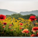 죽동마을 이미지