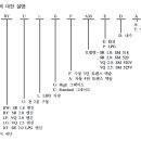 SM5-정비지침서-엔진-일반-기타정보/표준볼트조임토크 이미지