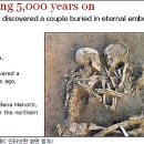 석기사랑 이미지