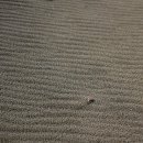 망상오토캠핑리조트 이미지