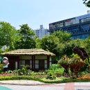 풍암생태야생태 이미지