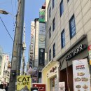 강남 고양이카페 히히냥냥 방문 후기