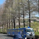 장애인 행복쉼터 | 갈만한 곳 : 서울대공원 나드리 / 입장료 / 이용시간 / 무료이용방법 / 아기 쉼터 + 방문(내돈내산!!)